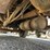 2004-freightliner-fl80-image-38