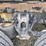 2019-peterbilt-579-image-31