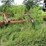 bush---hog-older-tandem-disc-25-image-2
