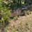 #24151-•-24'x8'-cattle-guard-image-2