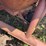 #24159-•-grain-cart-image-5