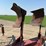 watts-5-bottom-plow-image-16