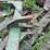 #7133-•-john-deere-3-point-quick-hitch-image-3