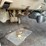 1999-ford-ranger-image-36