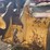 #13388-•-excavator-bucket-image-5