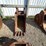 #13389-•-excavator-bucket-image-7