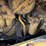 caterpillar-3306-image-14