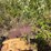 #24157-•-3pt-6"-water-pto-pump-image-3