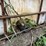 #7125-•-poly-tote-in-metal-cage-image-7