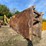 #13321-•-efficiency-products-trench-box-image-2