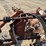 lilliston-roller-harrow-image-28