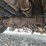 2011-ford-f550-image-40