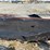 new-holland-617-image-9
