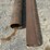 #23941-•-lot-of-(2)-12’-steel-pipe-w/gates-image-8