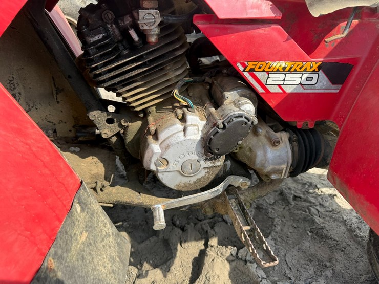 honda-fourtrax-250-image-8