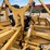 2022-schmeiser-svt24r-24'-varitrak-folding-3-pt-land-leveler-image-20