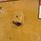 #13370-•-vermeer-mud-mixing-system-image-18