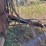 #24154-•-eddins-500-500bu-grain-cart-7070-image-6