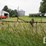 6-row-corn-reel-image-1
