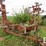 wil-rich-22'-older-field-cultivator-23-image-1