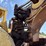 caterpillar-3306-image-43
