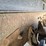#1243-•-2002-international-6x4-dump-truck-image-24