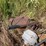 #24157-•-3pt-6"-water-pto-pump-image-4