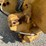 #13340-•-vermeer-cable-plow-attachment-image-21