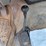 ford-f250-xl-image-29