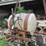 250-gallon-3pt-spray-tank-w/boom-10-image-1