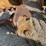 #13387-•-excavator-frost-tooth-image-10