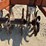 lilliston-roller-harrow-image-22