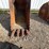 #13389-•-excavator-bucket-image-8