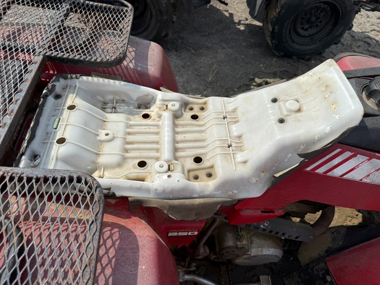 honda-fourtrax-250-image-20