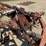 lilliston-roller-harrow-image-26