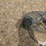 john-deere-3-pt-hydraulic-tow-hitch-image-20