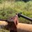 #24160-•-mayrath-35'x8"-grain-auger-image-12