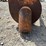 #23902-•-9’x6”-relift-image-5