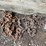 #7137-•-4-chains-and-2-binders-image-4