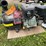 #7117-•-briggs-and-straton-pacer-transfer-pump-image-7