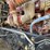 2013-kenworth-t800-image-40