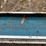 2020-wyma-coss-conveyor---corinne,-ut-image-19