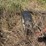 #24158-•-hula-mfg-levee-squeeze-w/seeder-image-3