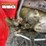 honda-fourtrax-250-image-19