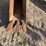 #13395-•-new-holland-bucket-image-8