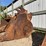 #13389-•-excavator-bucket-image-2