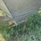 #24136-•-**over-head-bulk-feed-bin-image-5