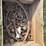 allis-chalmers-20-35-image-55