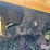 cub-cadet-rt-65-walk-behind-tiller-image-12
