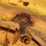 john-deere-5020-image-45